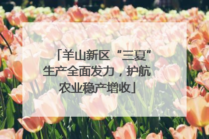 羊山新区“三夏”生产全面发力，护航农业稳产增收