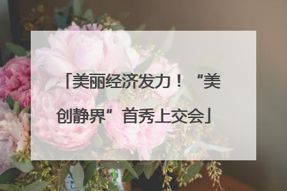 美丽经济发力！“美创静界”首秀上交会