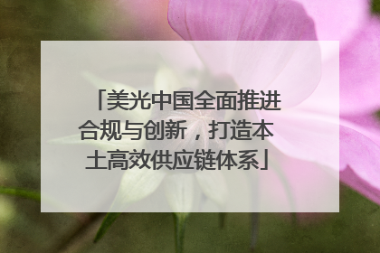 美光中国全面推进合规与创新，打造本土高效供应链体系