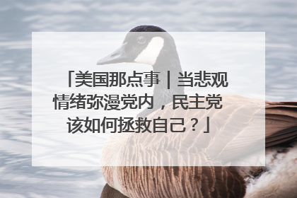 美国那点事｜当悲观情绪弥漫党内，民主党该如何拯救自己？