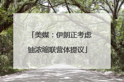 美媒：伊朗正考虑铀浓缩联营体提议