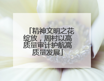 精神文明之花绽放，周村以高质量审计护航高质量发展