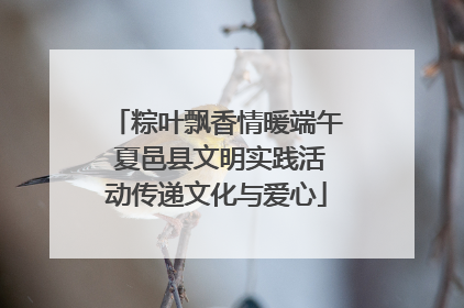 粽叶飘香情暖端午 夏邑县文明实践活动传递文化与爱心