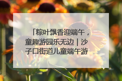 粽叶飘香迎端午，童趣游园乐无边｜沙子口街道儿童端午游园活动圆满落幕
