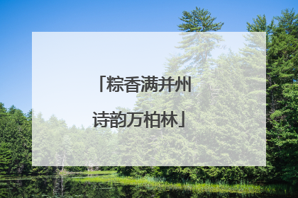 粽香满并州 诗韵万柏林