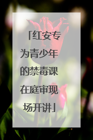 红安专为青少年的禁毒课在庭审现场开讲