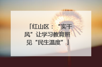 红山区：“实干风”让学习教育照见“民生温度”