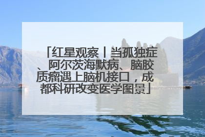 红星观察丨当孤独症、阿尔茨海默病、脑胶质瘤遇上脑机接口，成都科研改变医学图景
