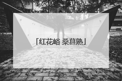 红花峪 桑葚熟