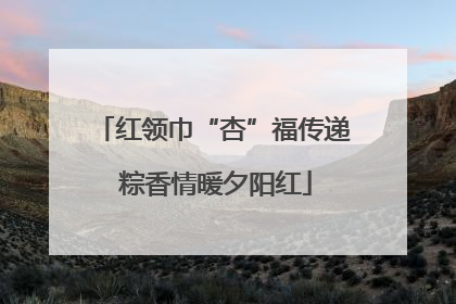 红领巾“杏”福传递 粽香情暖夕阳红