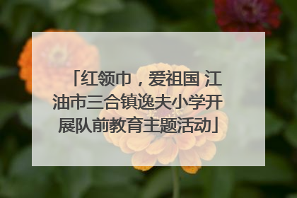 红领巾，爱祖国 江油市三合镇逸夫小学开展队前教育主题活动