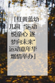 红黄蓝幼儿园“运动悦童心 逐梦向未来”运动嘉年华燃情举办