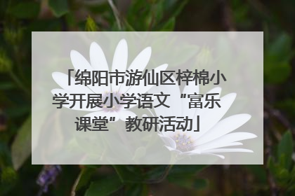 绵阳市游仙区梓棉小学开展小学语文“富乐课堂”教研活动
