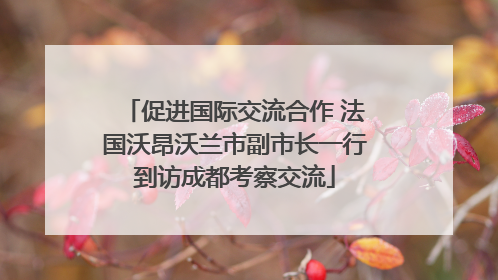 促进国际交流合作 法国沃昂沃兰市副市长一行到访成都考察交流