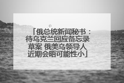 俄总统新闻秘书：待乌克兰回应备忘录草案 俄美乌领导人近期会晤可能性小