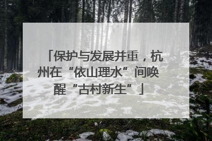 保护与发展并重，杭州在“依山理水”间唤醒“古村新生”