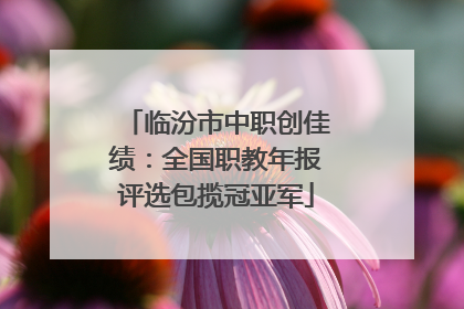 临汾市中职创佳绩：全国职教年报评选包揽冠亚军