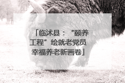 临沭县：“颐养工程”绘就老党员幸福养老新画卷