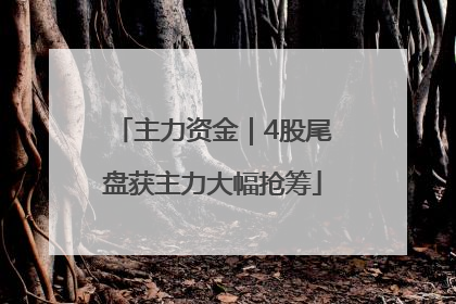 主力资金｜4股尾盘获主力大幅抢筹