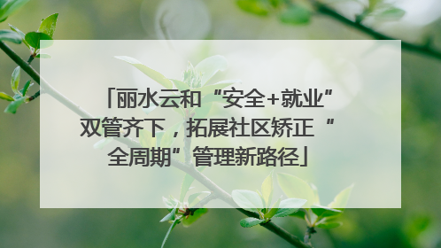 丽水云和“安全+就业”双管齐下，拓展社区矫正“全周期”管理新路径