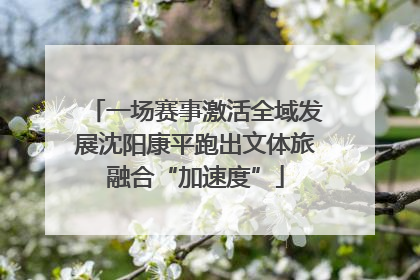 一场赛事激活全域发展沈阳康平跑出文体旅融合“加速度”