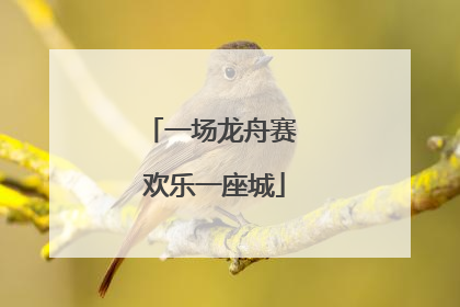 一场龙舟赛 欢乐一座城