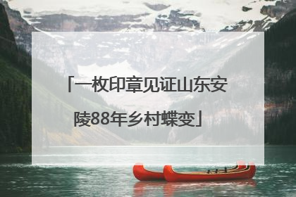 一枚印章见证山东安陵88年乡村蝶变