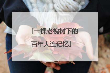 一棵老槐树下的百年大连记忆