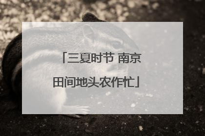 三夏时节 南京田间地头农作忙