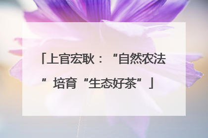 上官宏耿：“自然农法”培育“生态好茶”