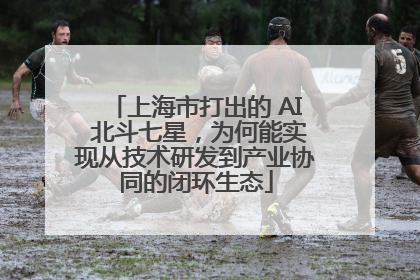上海市打出的 AI 北斗七星，为何能实现从技术研发到产业协同的闭环生态