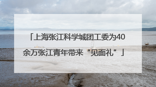 上海张江科学城团工委为40余万张江青年带来“见面礼”