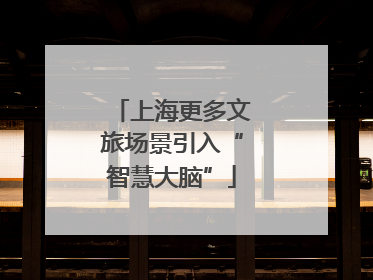 上海更多文旅场景引入“智慧大脑”