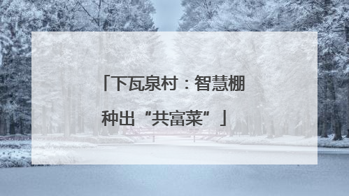 下瓦泉村：智慧棚种出“共富菜”
