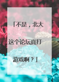 不是，北大这个论坛真打游戏啊？