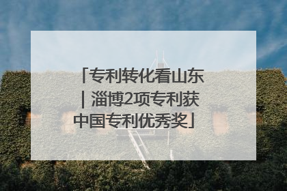 专利转化看山东｜淄博2项专利获中国专利优秀奖