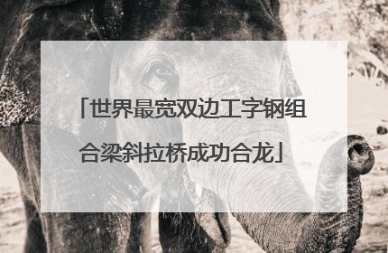 世界最宽双边工字钢组合梁斜拉桥成功合龙