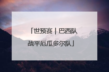 世预赛｜巴西队战平厄瓜多尔队