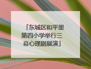 东城区和平里第四小学举行三幕心理剧展演