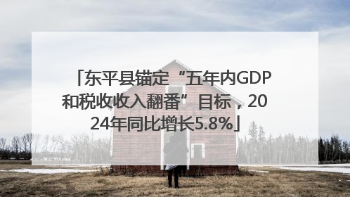 东平县锚定“五年内GDP和税收收入翻番”目标，2024年同比增长5.8%
