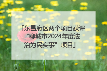 东昌府区两个项目获评“聊城市2024年度法治为民实事”项目