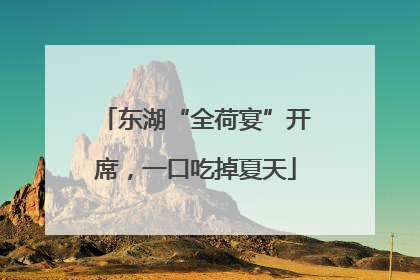 东湖“全荷宴”开席，一口吃掉夏天