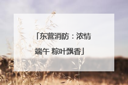 东营消防：浓情端午 粽叶飘香