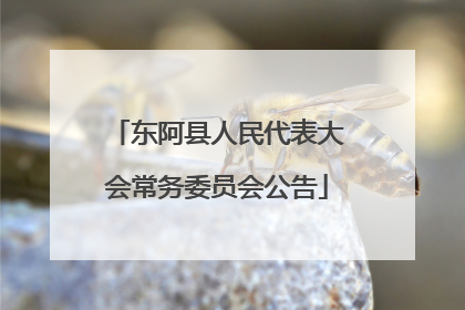 东阿县人民代表大会常务委员会公告