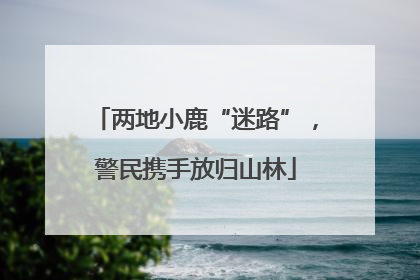 两地小鹿“迷路”，警民携手放归山林