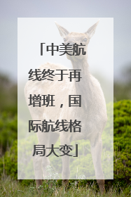 中美航线终于再增班，国际航线格局大变