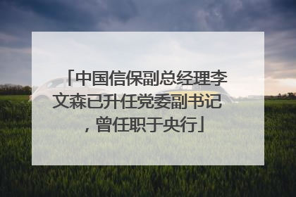 中国信保副总经理李文森已升任党委副书记，曾任职于央行
