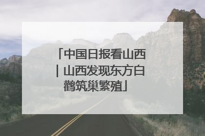 中国日报看山西｜山西发现东方白鹳筑巢繁殖