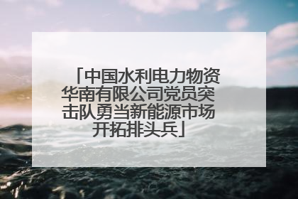 中国水利电力物资华南有限公司党员突击队勇当新能源市场开拓排头兵