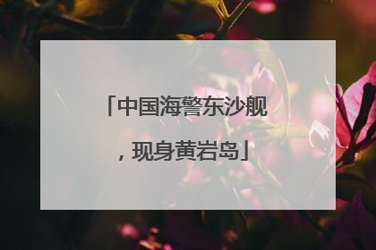 中国海警东沙舰，现身黄岩岛